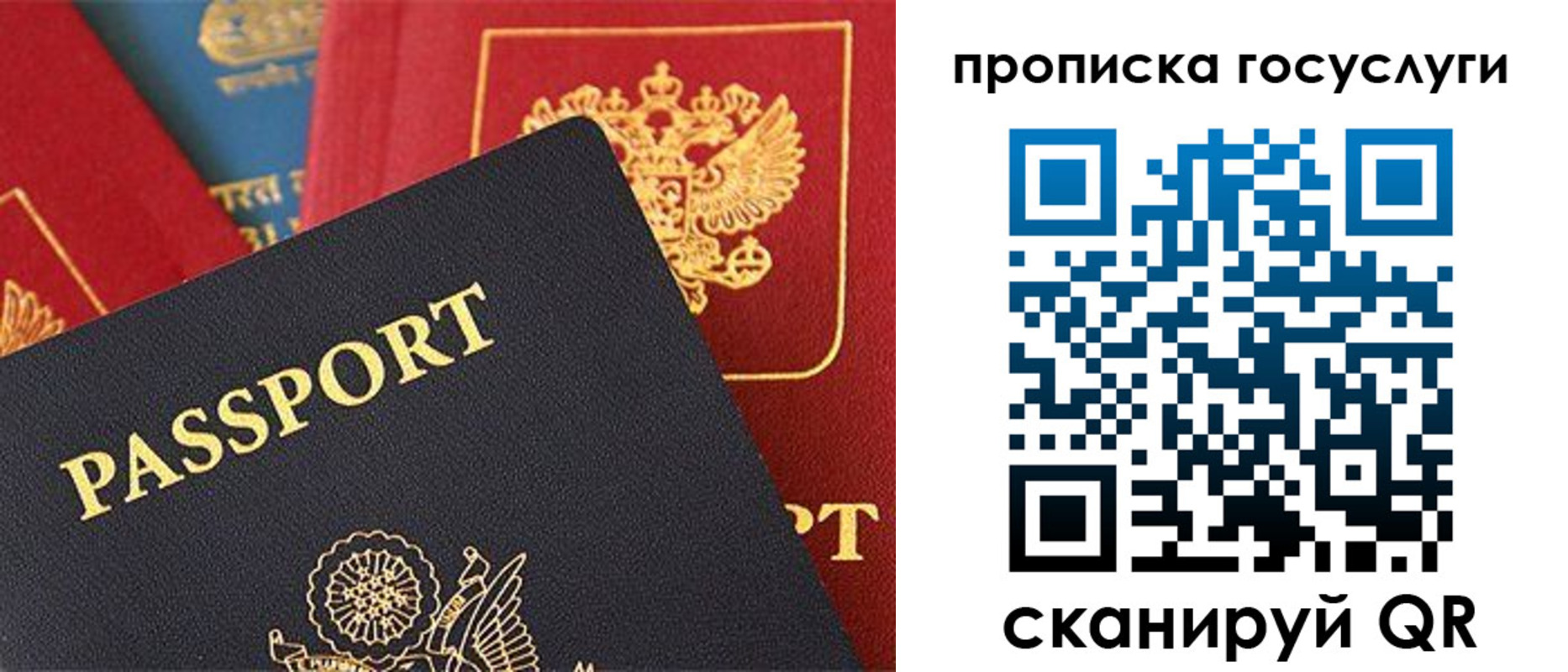 где прописаться в Струнино